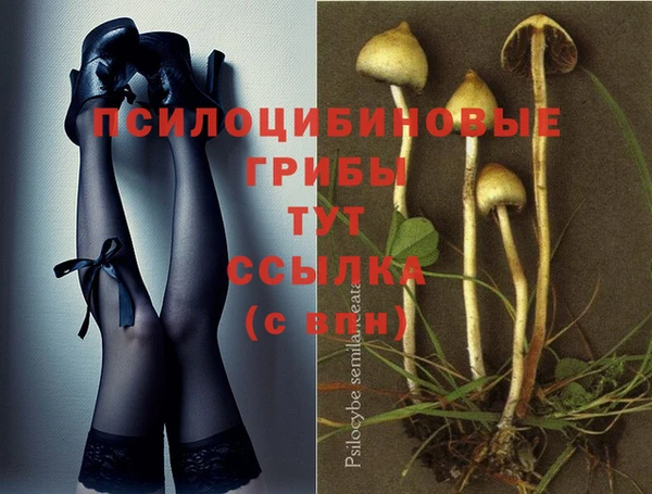 прущая мука Арсеньев